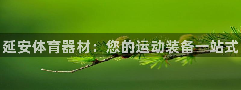 富联娱乐测速登录:延安体育器材:您的运动装备一站式